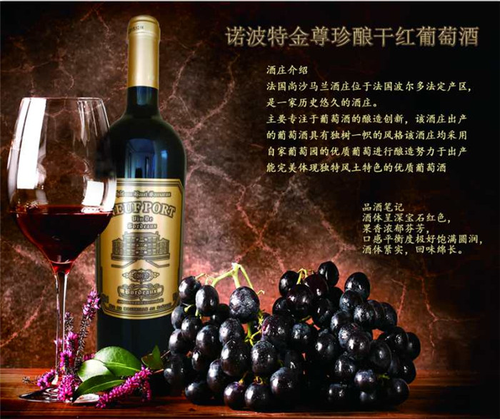 cotv头条发布北京白马康帝国际贸易有限公司专业销售进口红酒